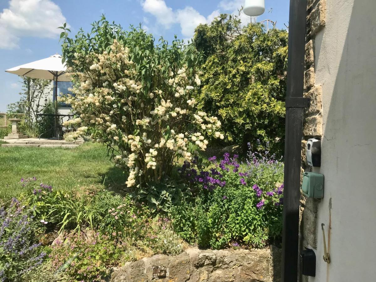 Mere  Charming Modernized Country Cottage Near Mere, Wiltshire מראה חיצוני תמונה