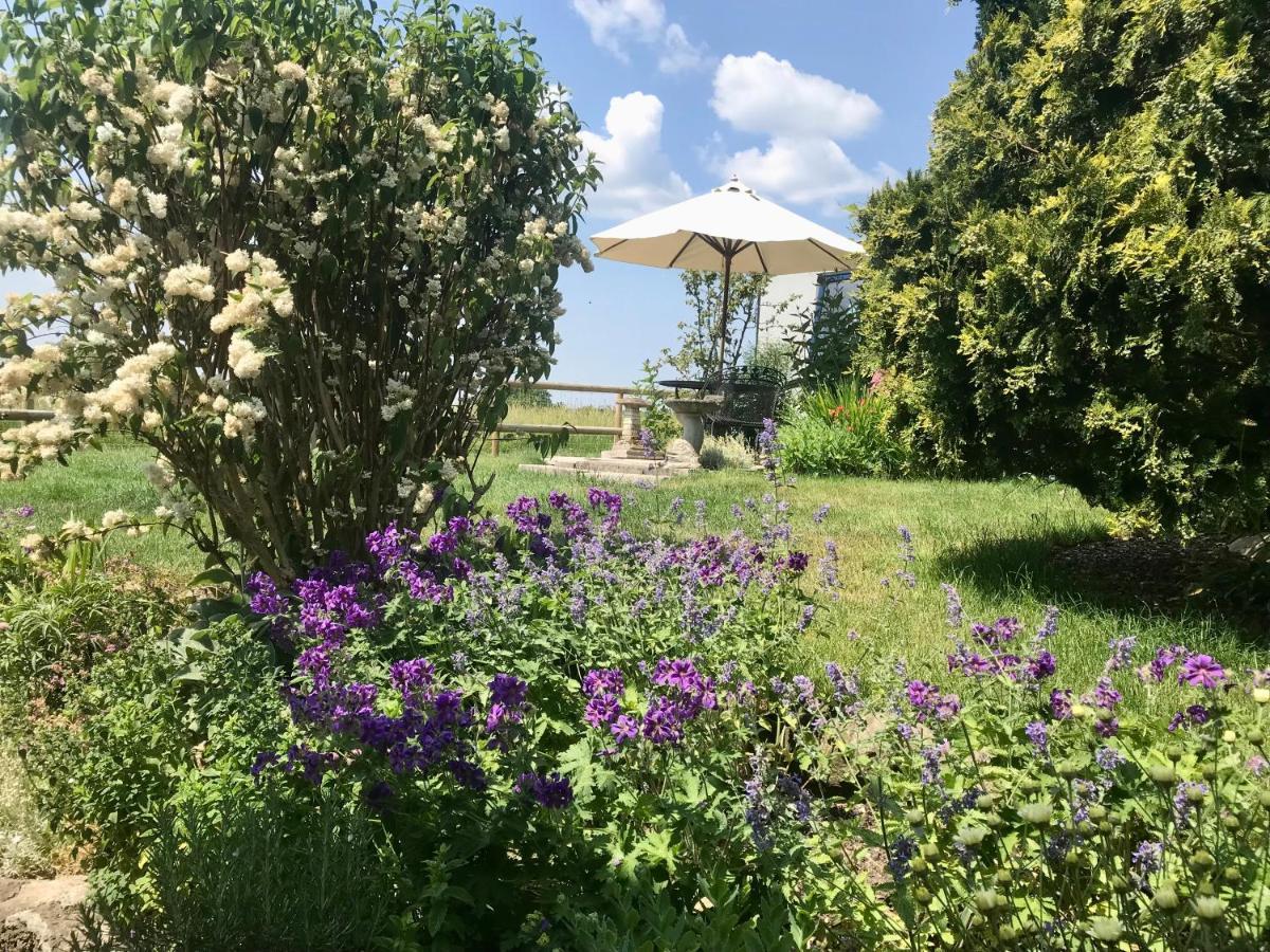 Mere  Charming Modernized Country Cottage Near Mere, Wiltshire מראה חיצוני תמונה